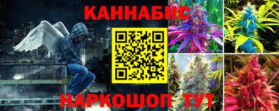 стафф Обнинск
