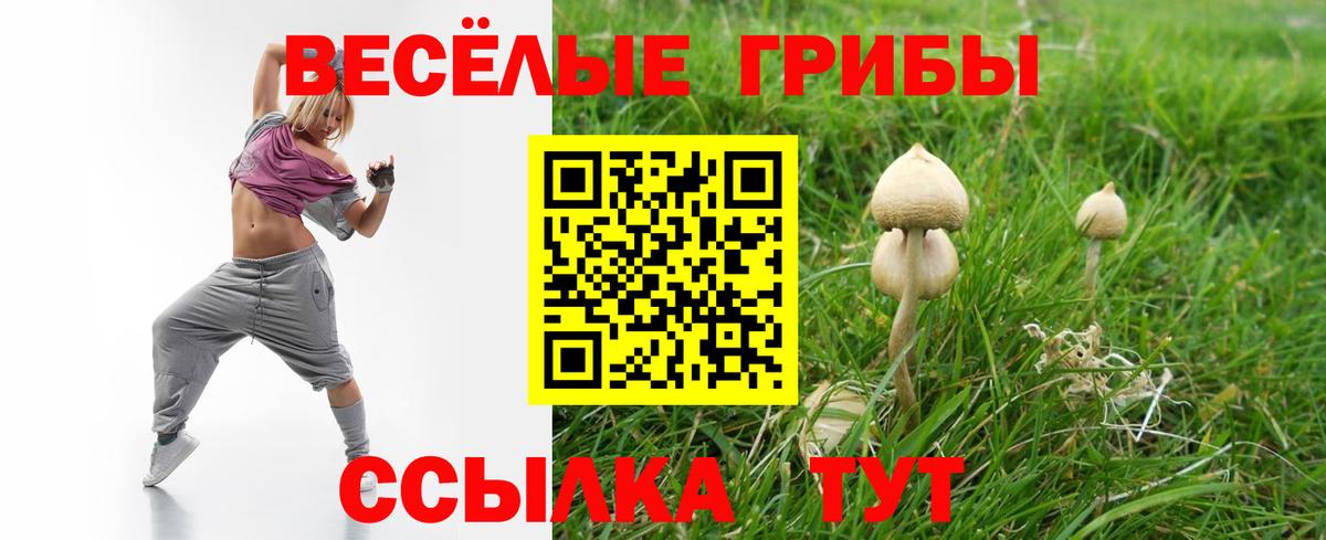 Галлюциногенные грибы мухоморы  Вход с VPN  Подольск 