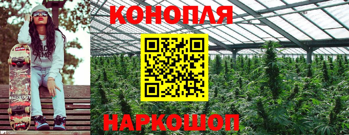 Бошки марихуана SATIVA & INDICA Подольск